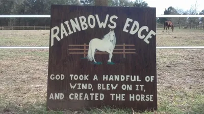Rainbow's Edge Equine logo